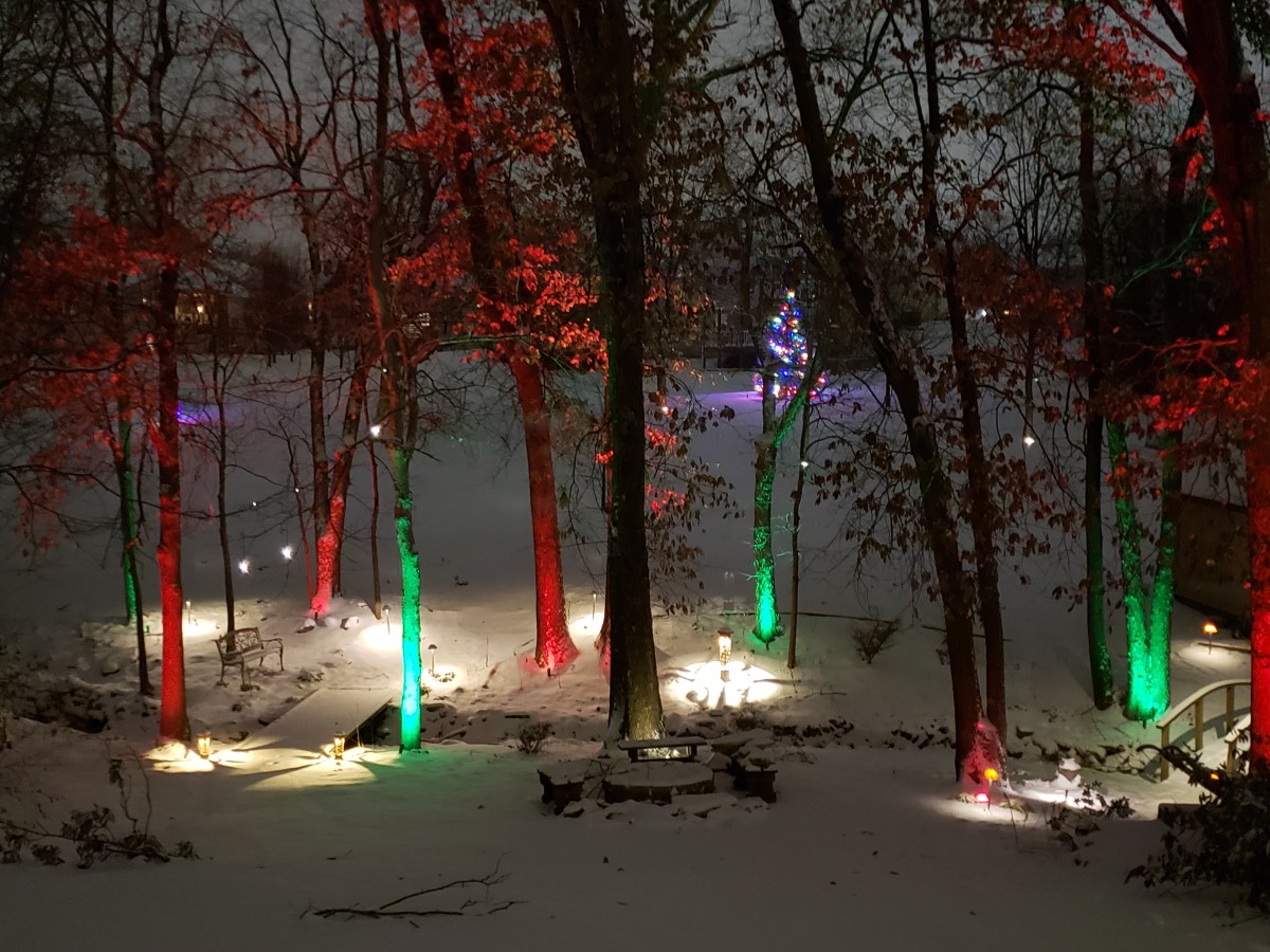 holiday front yard tree lights